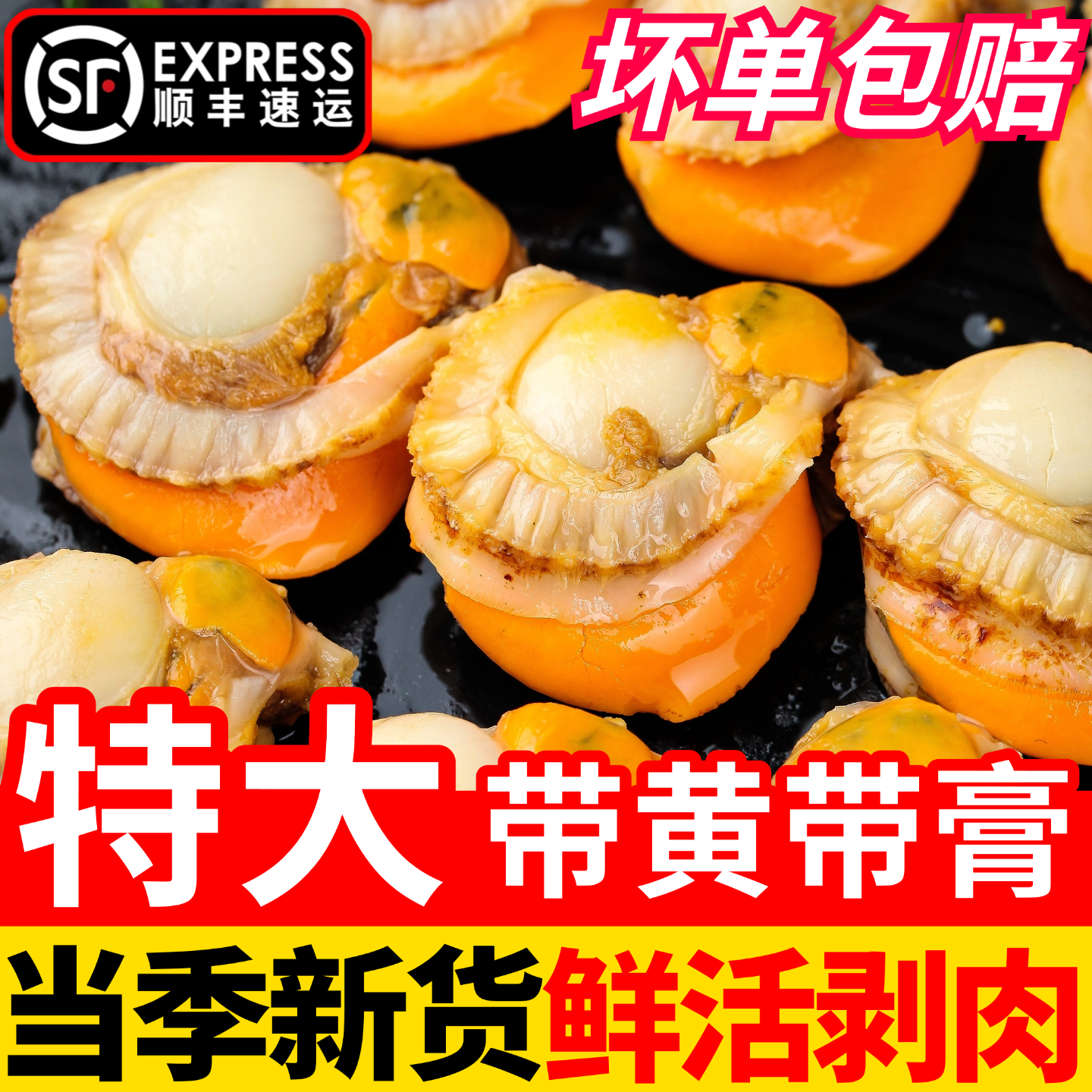 扇贝肉新鲜冷冻带黄鲜活特大号海鲜水产红贝特级蒜蓉粉丝商用批发