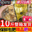 生蚝鲜活10斤带箱海鲜水产海蛎子新鲜大牡蛎肉批发烧烤商用顺丰
