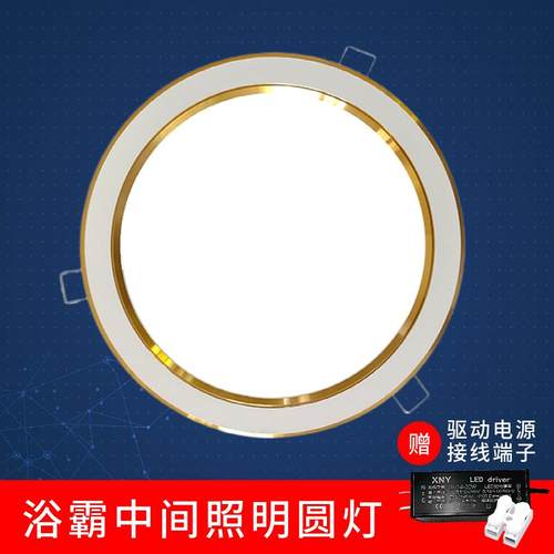 led灯板浴霸中间圆灯集成吊顶8寸7寸面板照明光源可替换灯芯配件