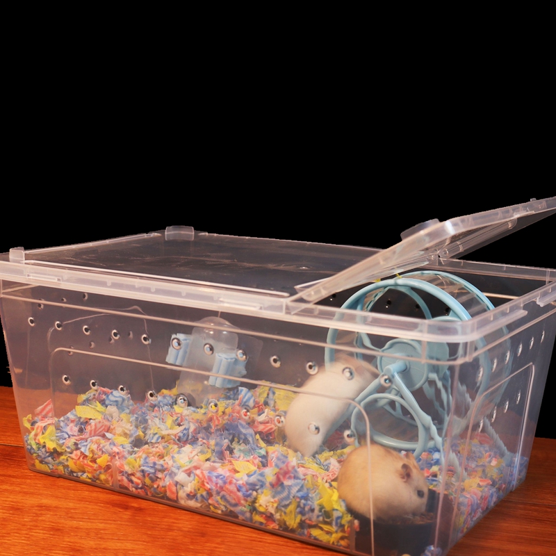 西班牙睡鼠饲养盒透明仓鼠金丝熊小窝用品花枝鼠养殖箱睡鼠外带笼