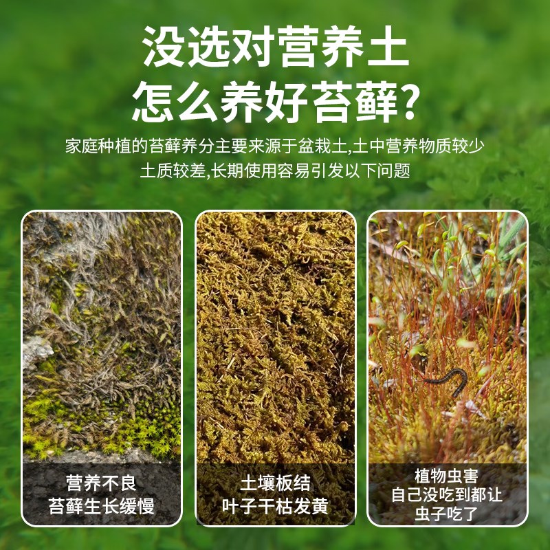 苔藓专用营养土盆栽用苔藓土通用种花造景营养土盆栽盆景苔藓肥料