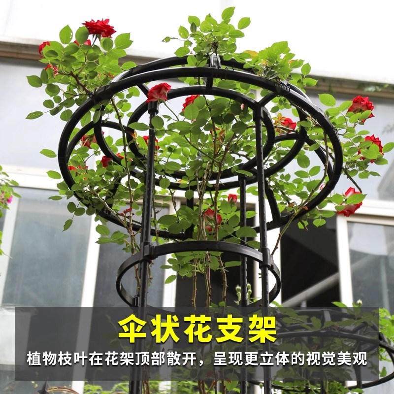 伞型植物爬藤架园艺藤本类月季绿萝爬藤花支架支柱玫瑰盆栽支撑杆
