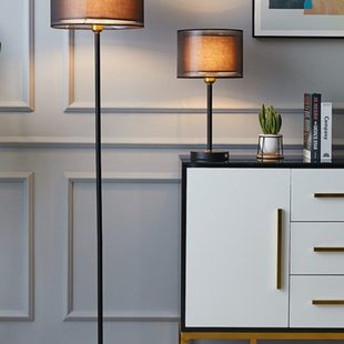 落地灯客厅北欧简约现代大气轻奢卧室床头台灯温馨沙发立式遥控灯