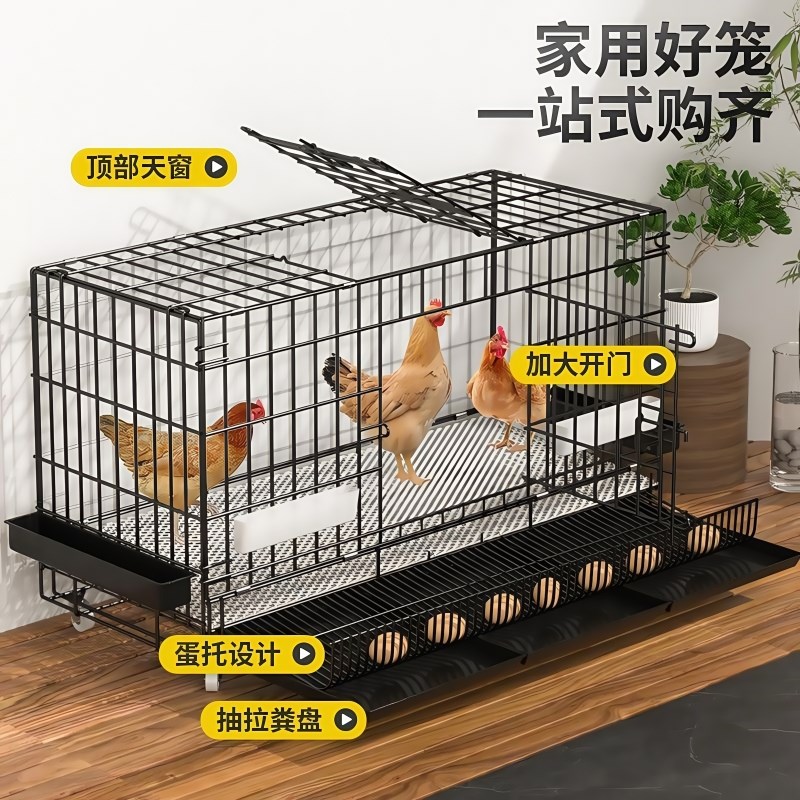 鸡笼子家用室外大号方管密网防雨农村芦丁自动清粪养殖笼防黄鼠狼