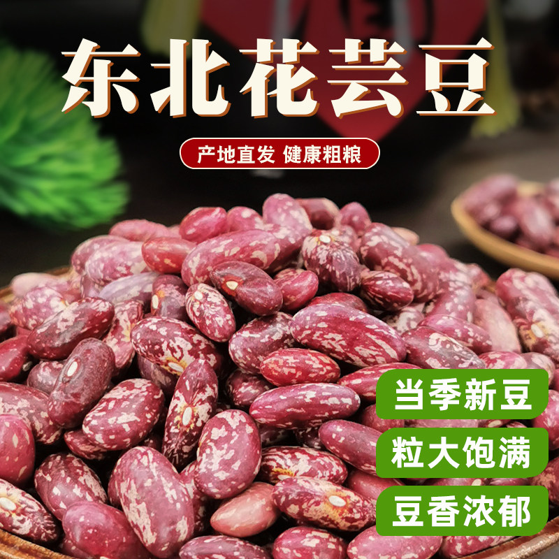 0东北花芸豆新货大粒饭豆大碴粥五谷杂粮紫花红芸豆腰豆农家自产