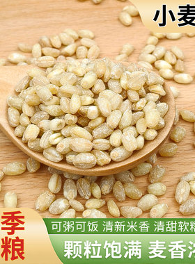 2024东北新货新麦仁米小麦仁去皮优质脱壳带胚芽煮粥饭五谷杂粮