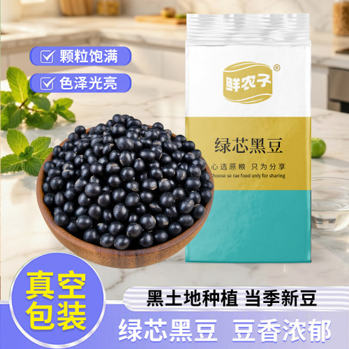 真空包装东北绿芯黑豆农家自产青仁黑豆打豆浆煮粥五谷