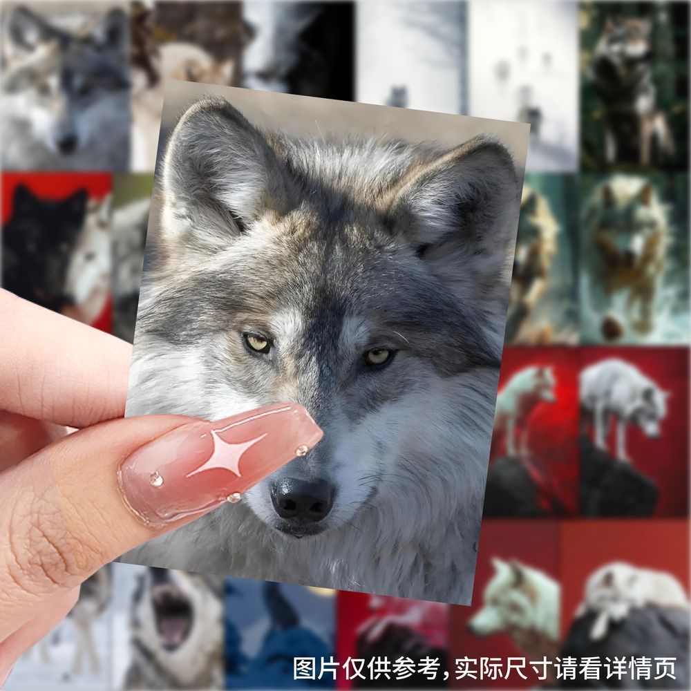 189狼帅气贴纸ins动物笔记本桌面手账创意手机贴画diy装饰防水贴