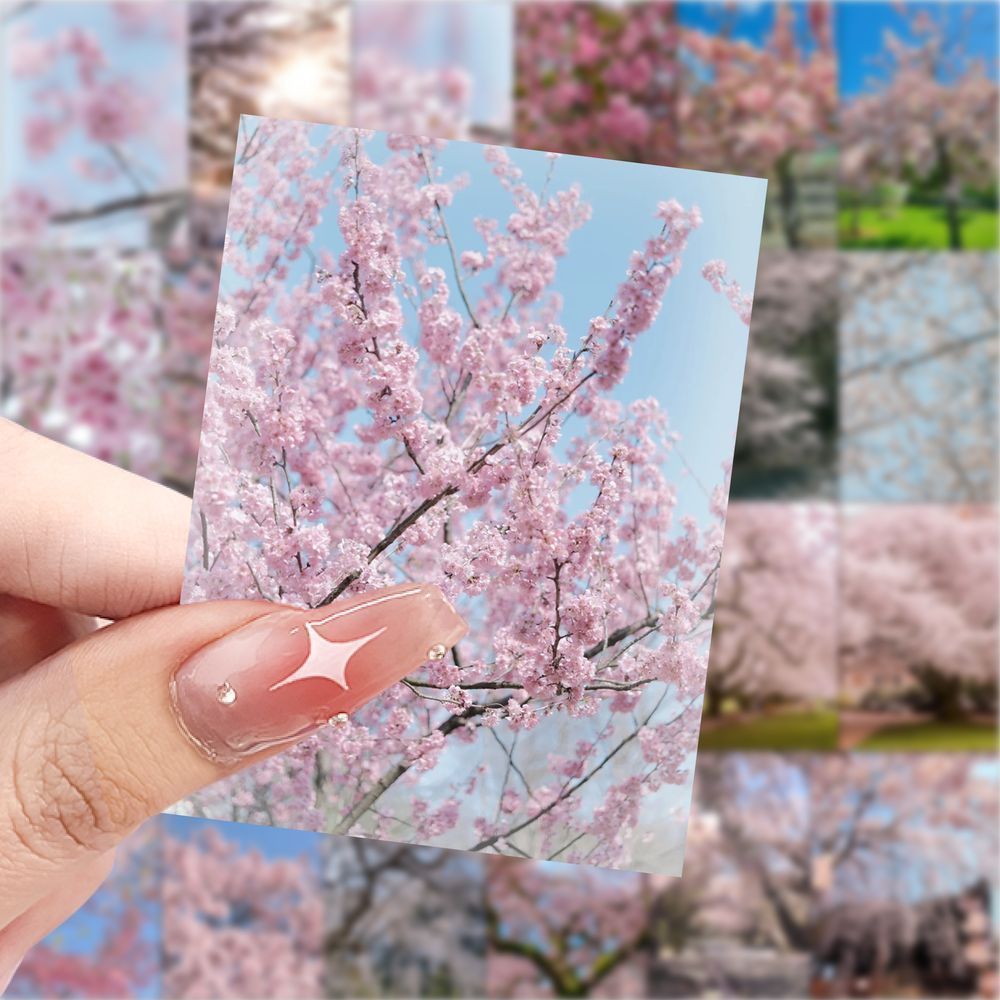 126张新款春日樱花背景图贴纸DIY治愈小清新贴画手机手账装饰贴