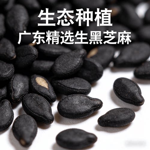 广东新货生黑芝麻农家本地自种白芝麻粒仁烘焙糕点原料老品种免洗