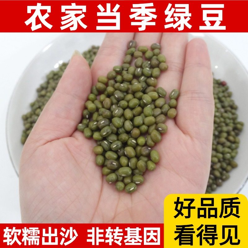 广东农家自种新鲜非转基因新绿豆