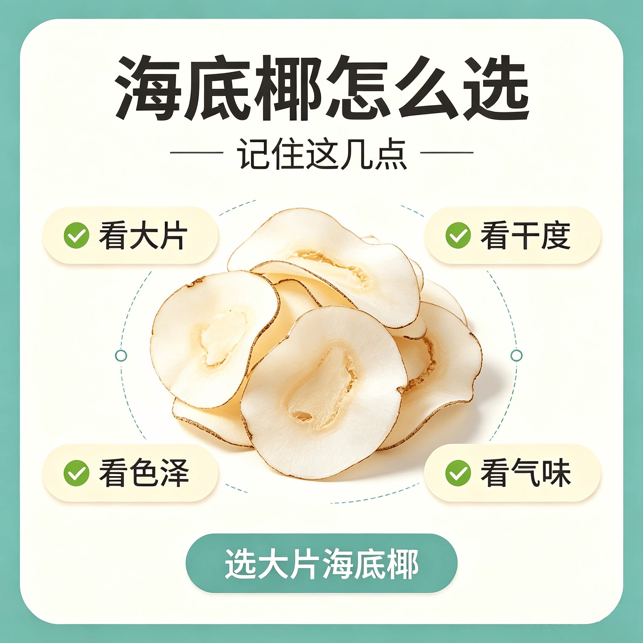 正宗海底椰片干500g新鲜煲汤料包搭配灯芯草竹蔗茅根雪梨无花果干