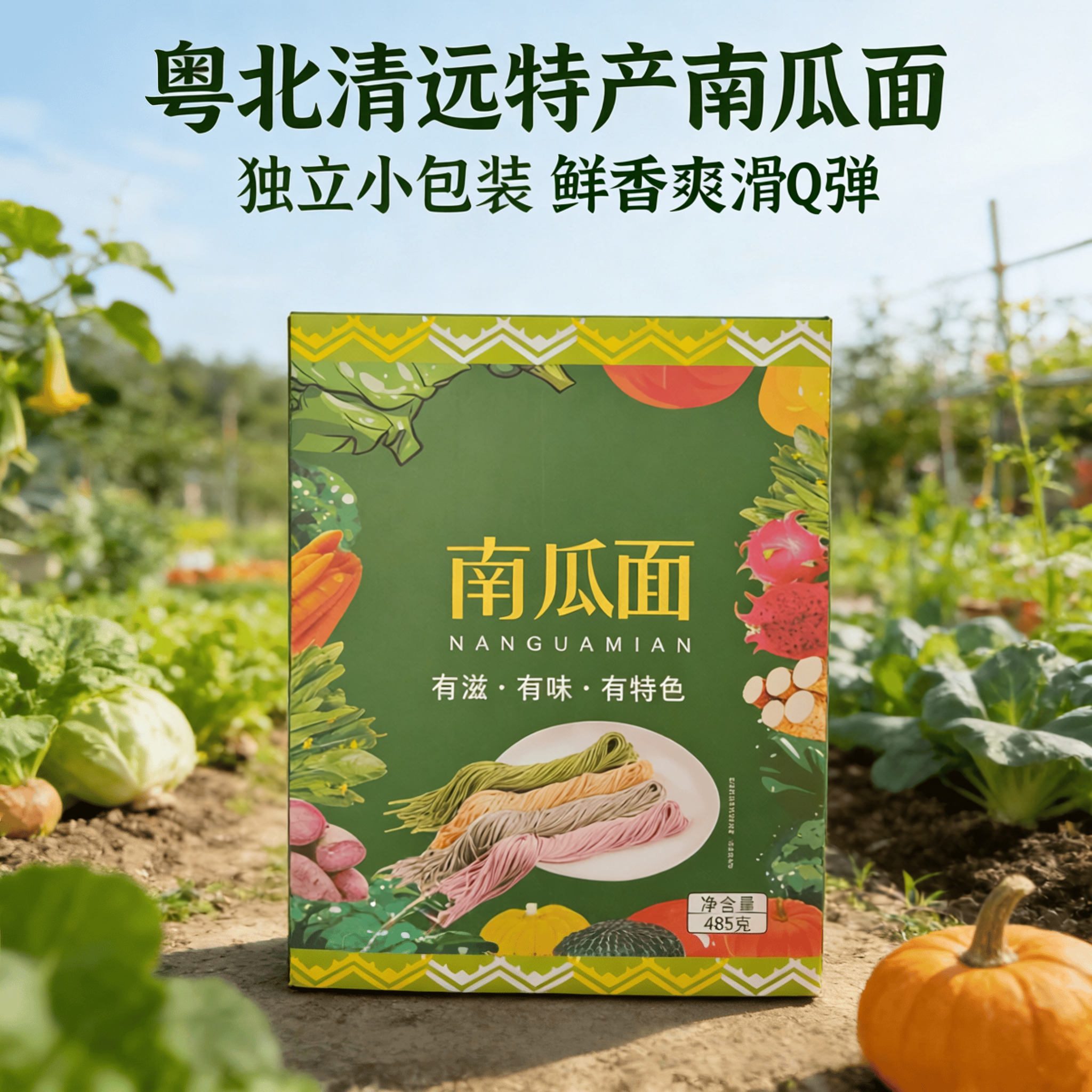 广东粤北高山独立小包装挂面老人小孩早晚餐手工南瓜水煮原味面条