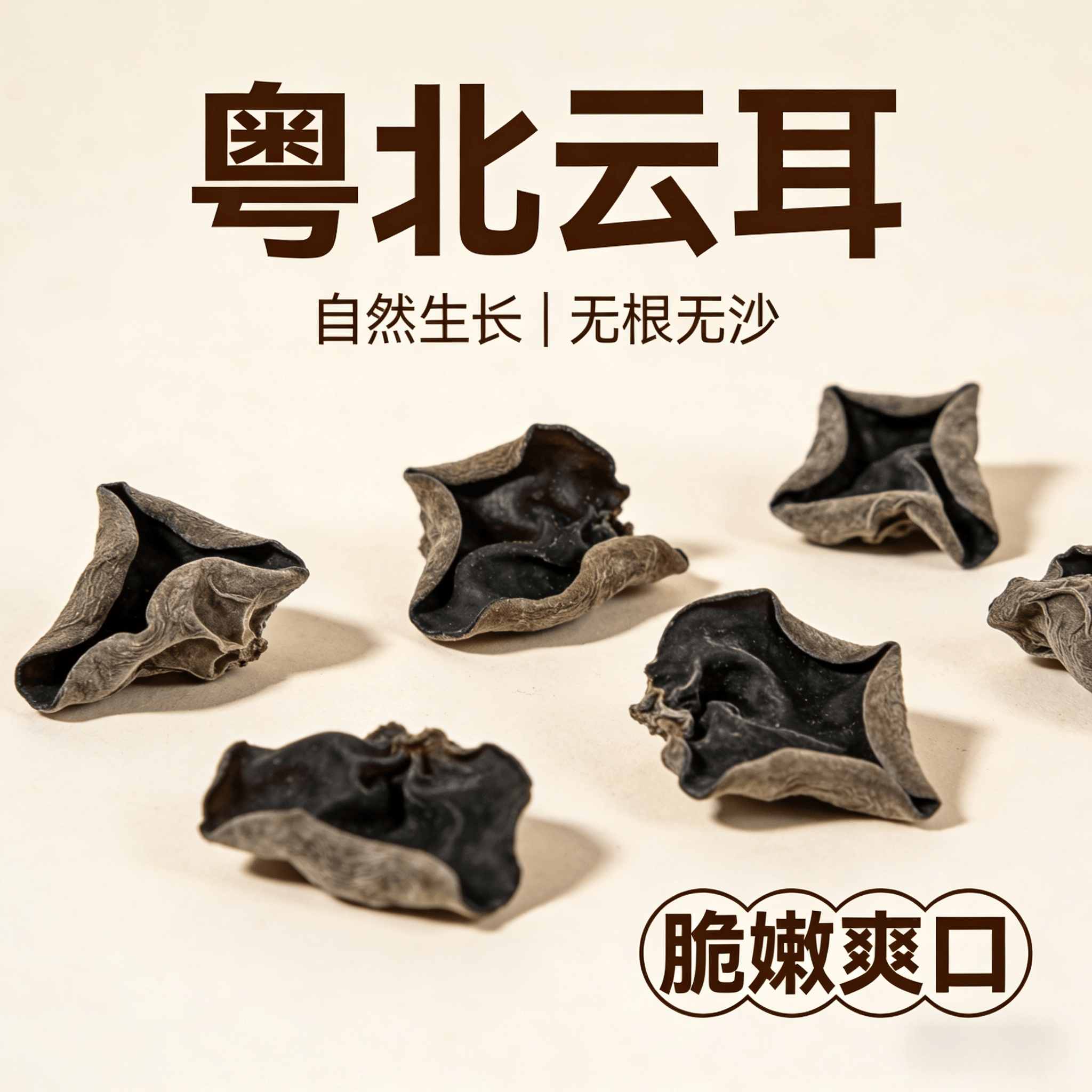 广东正宗山野正品云耳黑木耳当季采摘煲汤煲粥无沙新鲜干货无添加