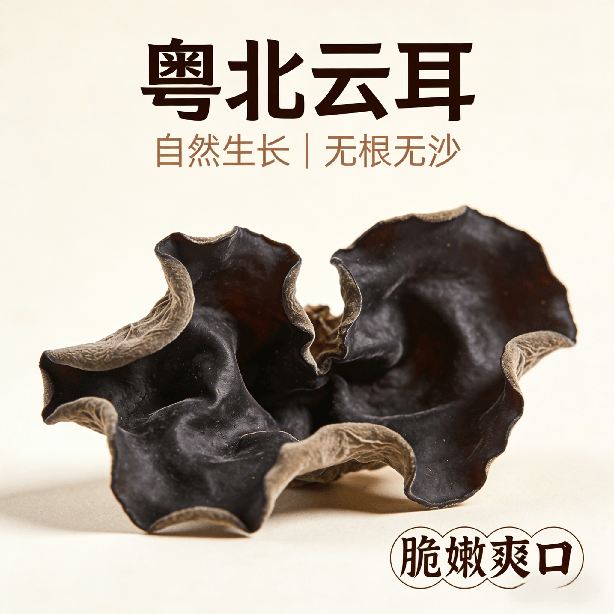 广东粤北正宗农家云耳黑木耳当季采摘煲汤煲粥无沙新鲜货无硫干净