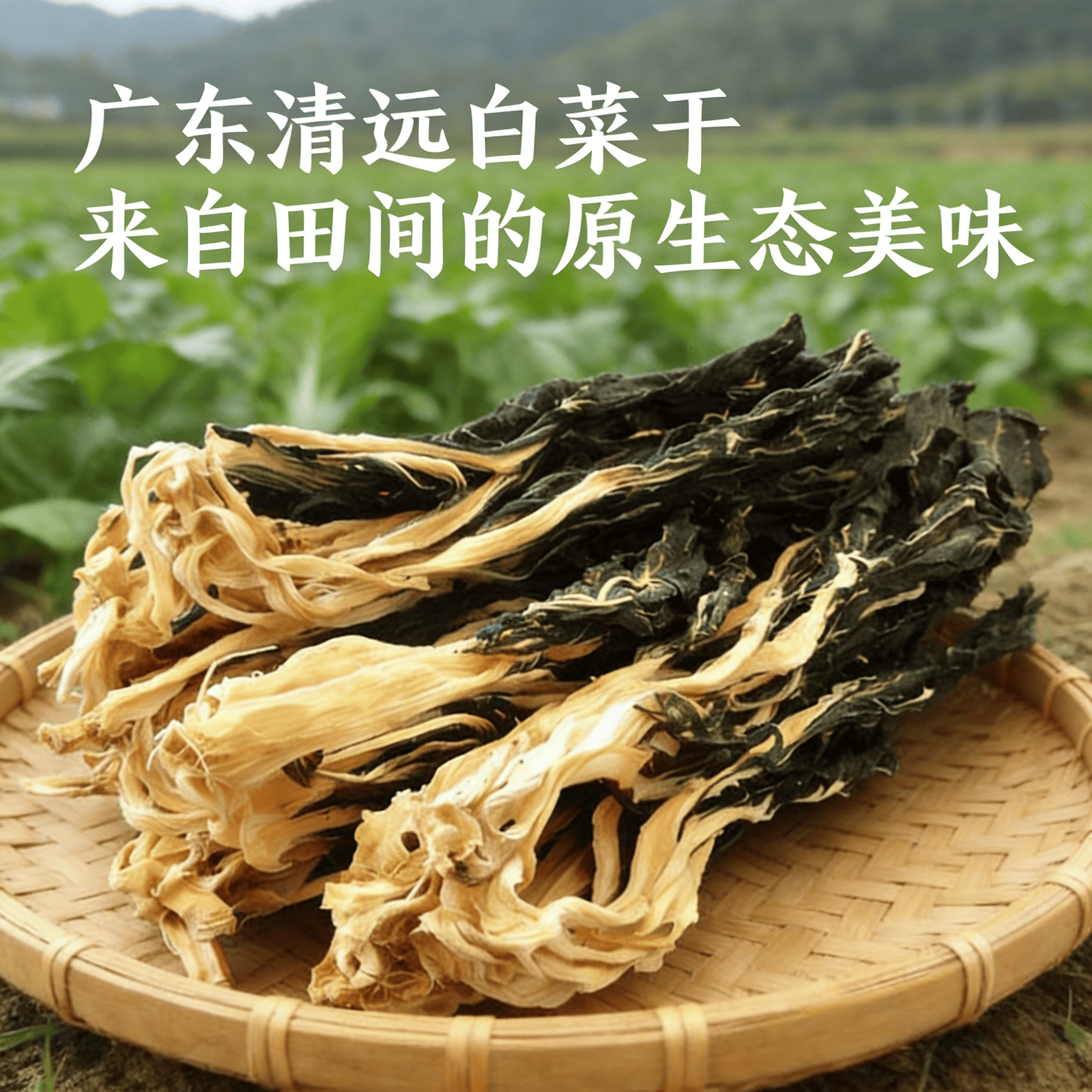 粤北正宗岭南农家自晒白菜当季干货健康营养广东煲汤煲粥无沙新鲜