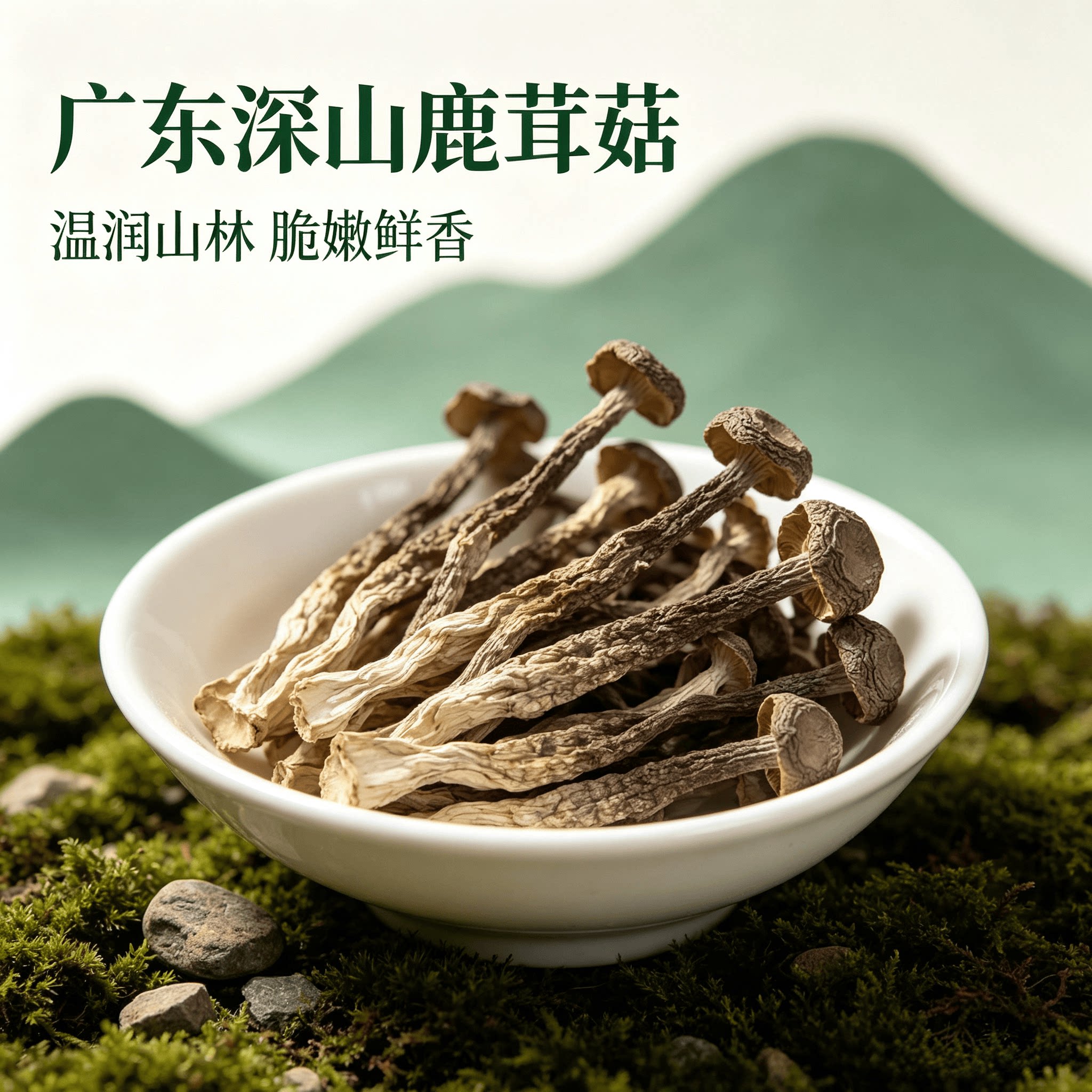 广东高山鹿茸菇干货500g特级新鲜正品鹿茸菌特产级批发干货爽脆鲜