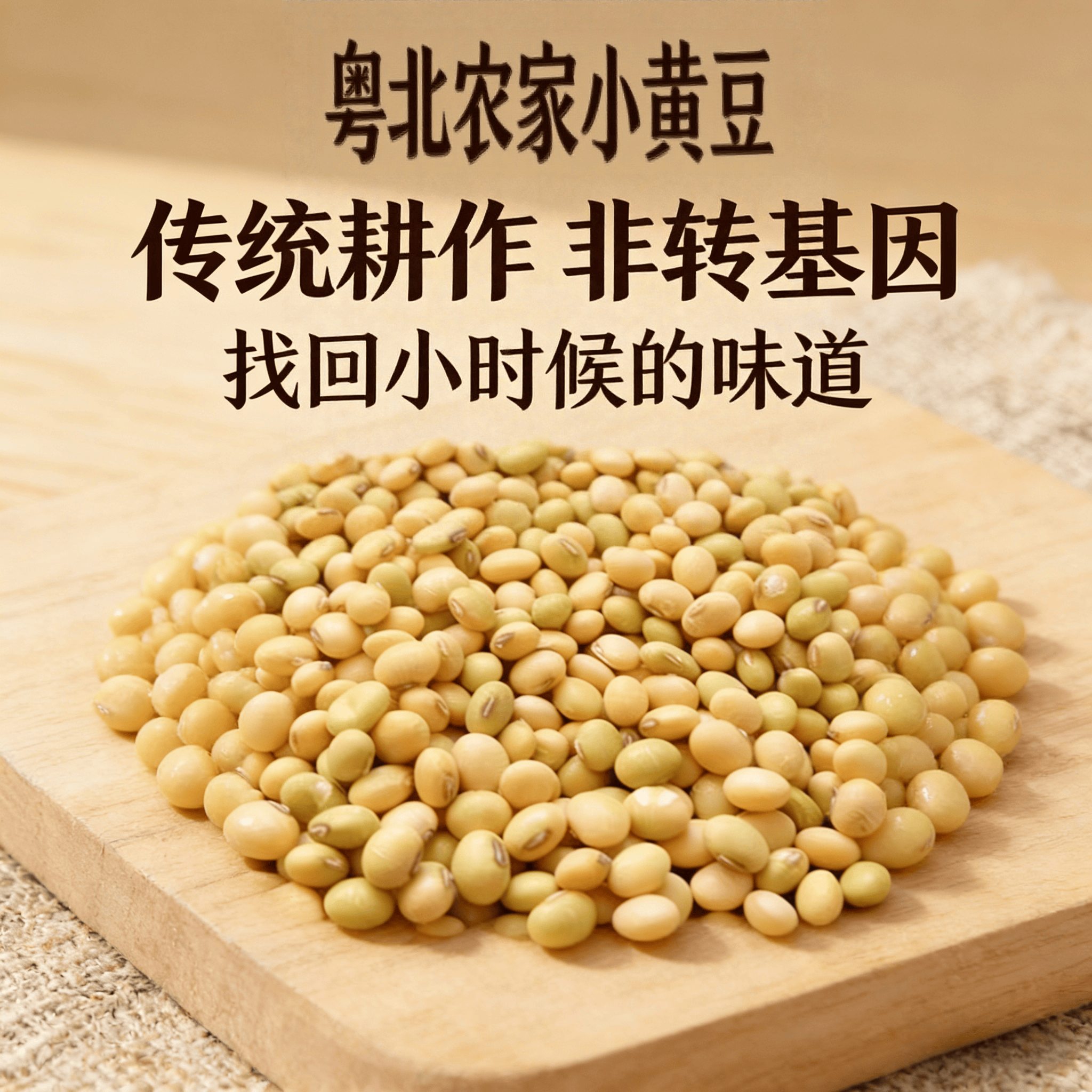 广东粤北高山农家自种本地小黄豆打豆浆专用营养非转基因种子大豆