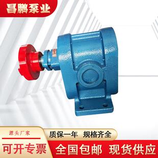 2CY高压齿轮泵头机油汽柴油抽油泵防爆强自吸高扬程电动循环油泵