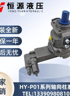 江苏恒源HY10/45/55/63/80/125/160/200/250P P01 P02 P03 P04-RP