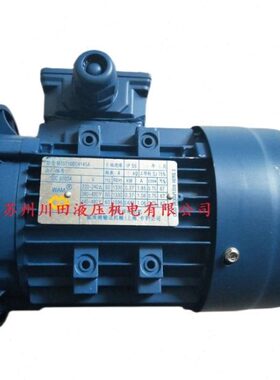 威埃姆WAM电机MT 1320L04145PF/MT1320M04145F库存全新现货