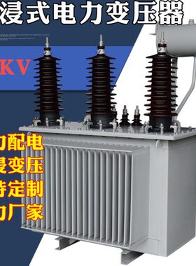 33KV油浸式电力变压器35KV变10KV变0.4KV 户外配电变压器63KV定制