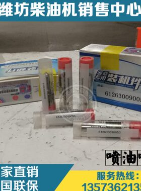 潍柴动力船用WP12 WP13柴油发动机喷油器612630090053油头 油嘴