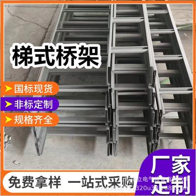 厂家现货梯式桥架防火喷塑梯式桥架线槽300*100200*200200*100