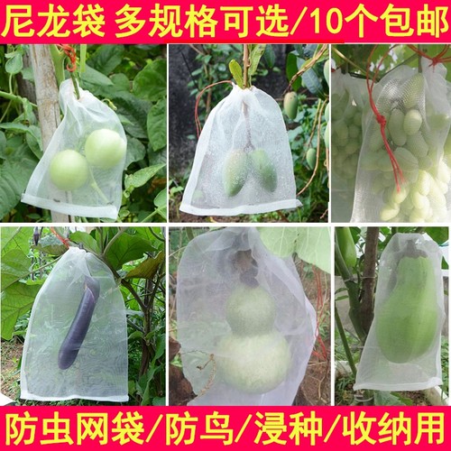 草莓保护袋防虫袋防鸟纱网葡萄丝瓜苦瓜水果子套袋防果蝇专用网袋