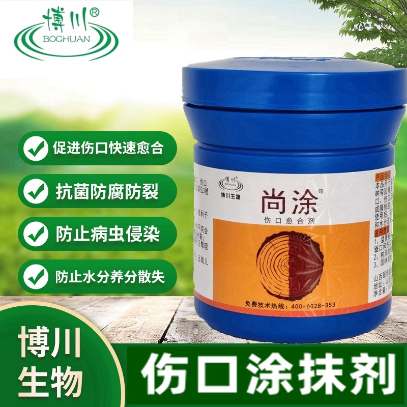 博川尚涂博涂非糊涂金弹子大树盆景果树锯口流胶病涂抹剂