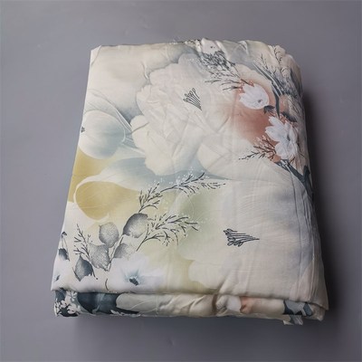 重磅好货真丝被 100%桑蚕丝素绉缎单件丝绸床品人宽幅被罩 新