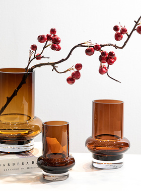 创意圆口茶色直筒水培灯笼花瓶玻璃透明绿植水养高级感插花仿真花