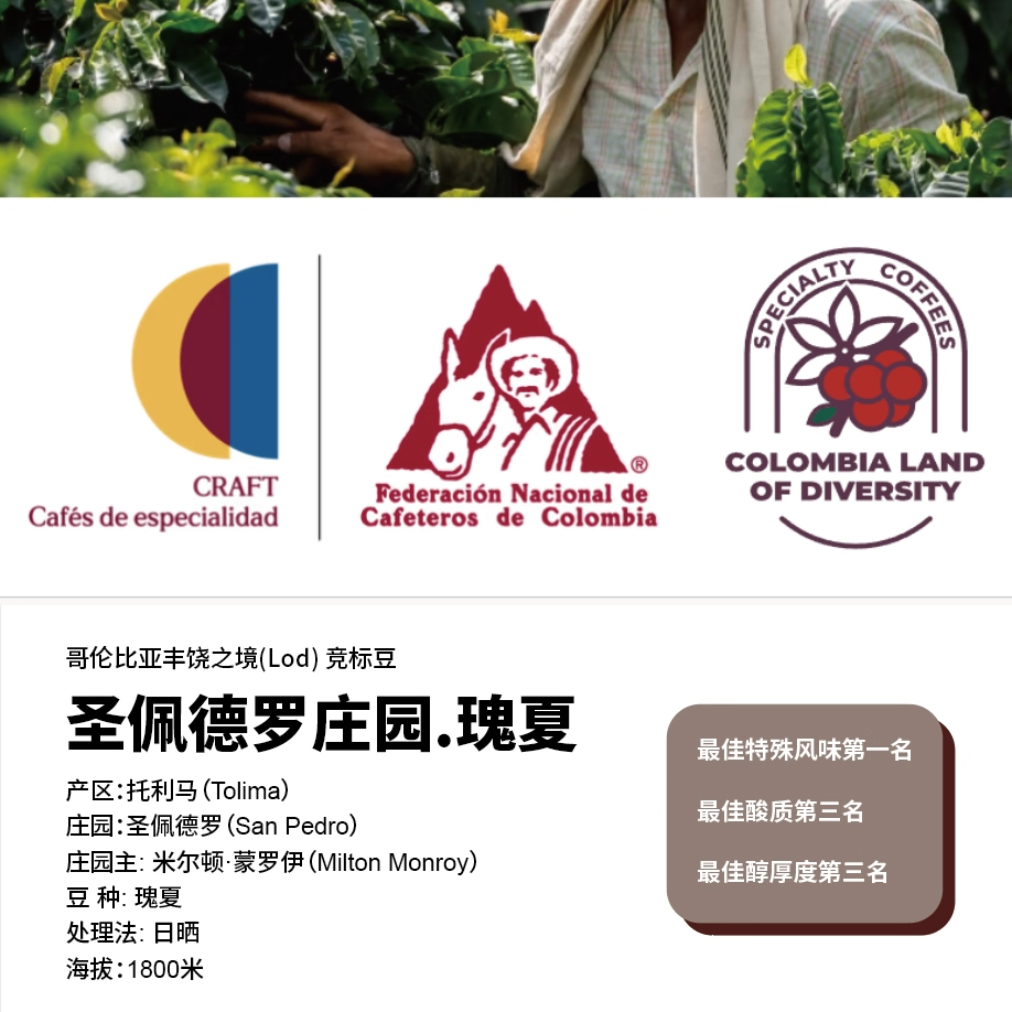南向咖啡哥伦比亚LOD竞标圣佩德罗庄园日晒瑰夏不苦手冲精品咖啡