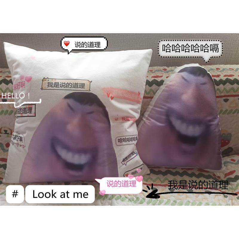说的道理抱枕我是说的道理枕头北欧棉麻数码印花客厅沙发靠垫靠枕