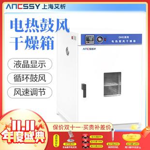 电热鼓风干 干燥箱实验室烘箱工业烘干 干箱恒温烤箱高温试验箱