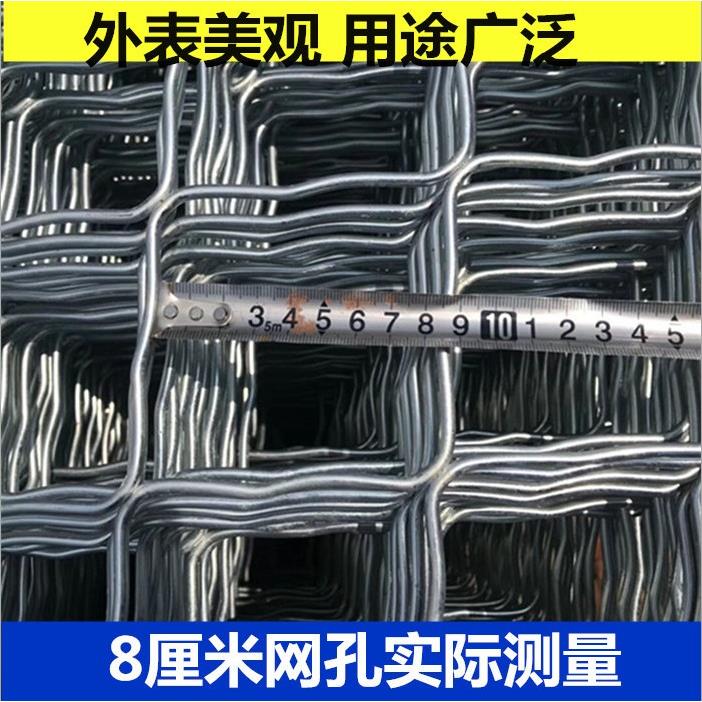 镀锌铁丝网菱形防盗窗网钢丝网片狗笼网隔离养殖网宠物防护围栏网