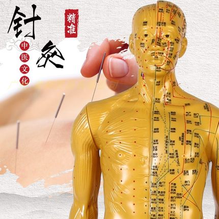 超清人体针灸穴位模型经络 铜人刻字中J医教学人体模型男女小人