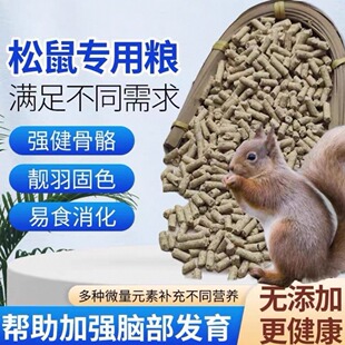 松鼠饲料零食幼鼠成鼠主粮粮食营养长身体食物松鼠