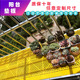 防盗网垫板护栏花架多肉阳台防坠落透气塑料网垫彩色防盗窗网格板