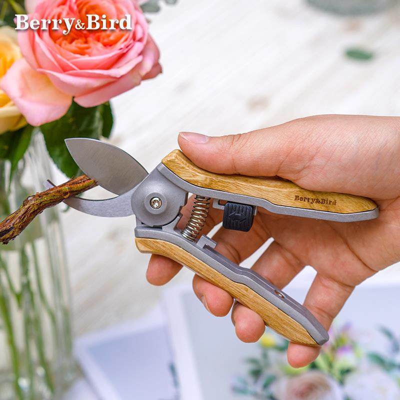虹越BerryBird园艺修枝剪花草剪家用盆栽花卉修剪切花绿植小型
