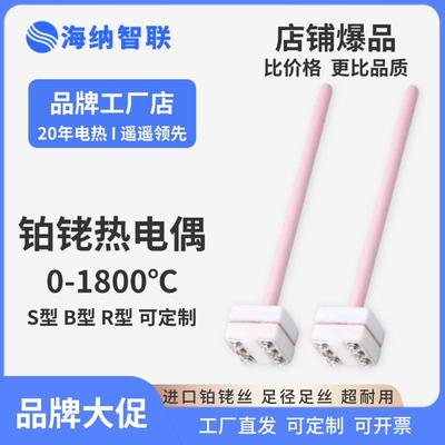 【爆款】S型铂铑热电偶WRP-100高温99刚玉管定制B型R型温度感测器
