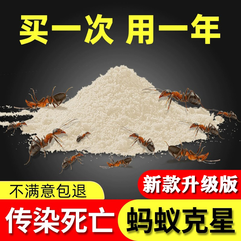 菜地端红火黄黑蚂蚁全窝家用室内