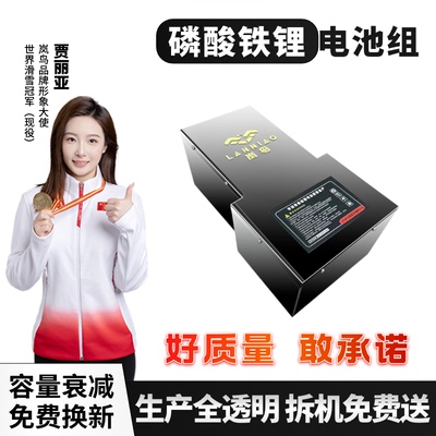 岚鸟电动车锂电池磷酸铁锂不起火
