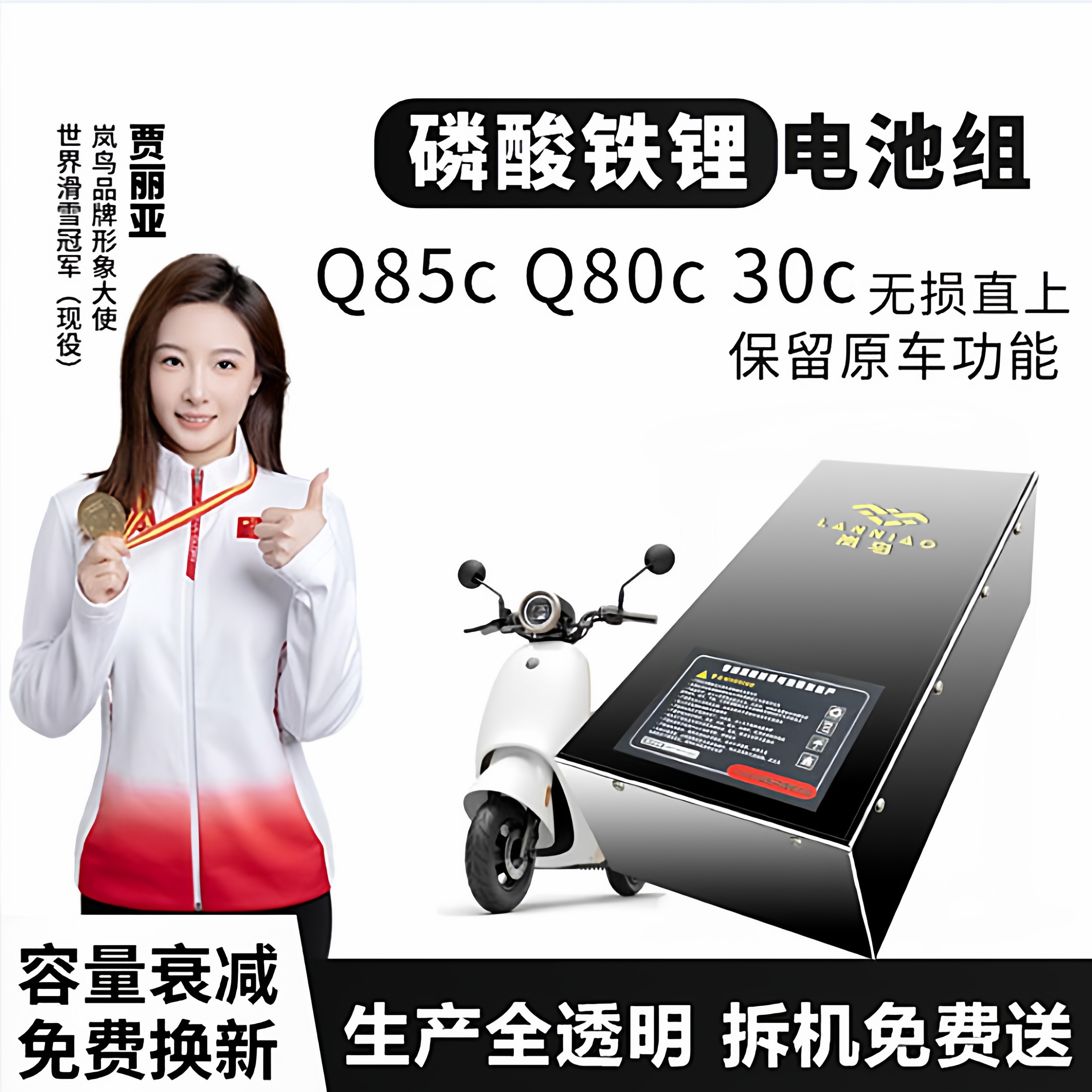 岚鸟大容量九号Q85C磷酸铁锂电池