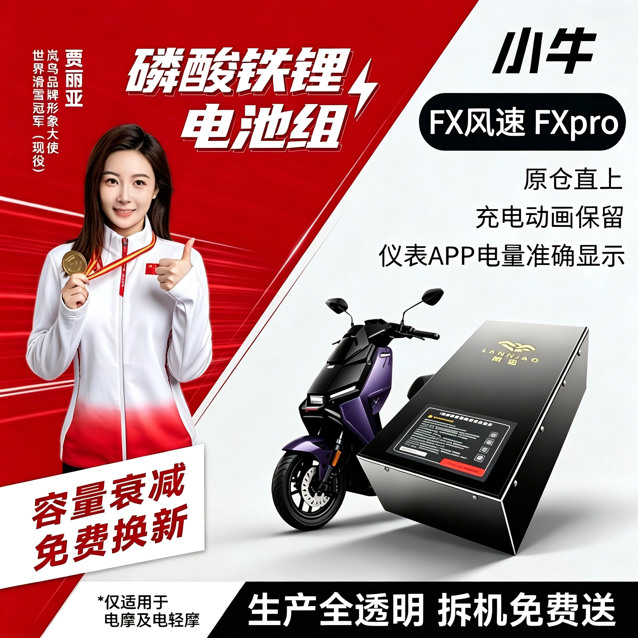 小牛系列FX风速版磷酸铁锂电池