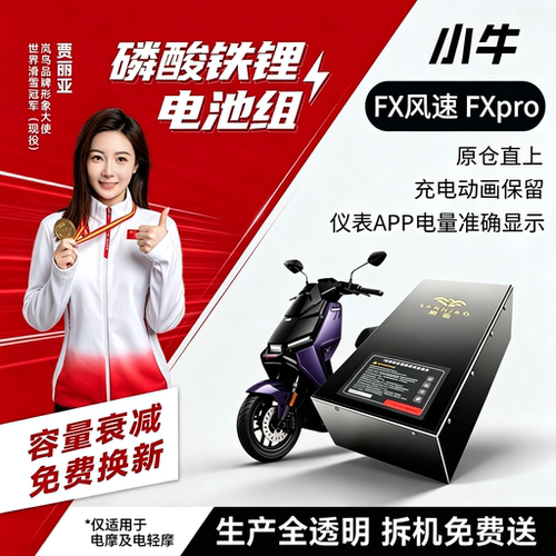 小牛系列FX风速版磷酸铁锂电池