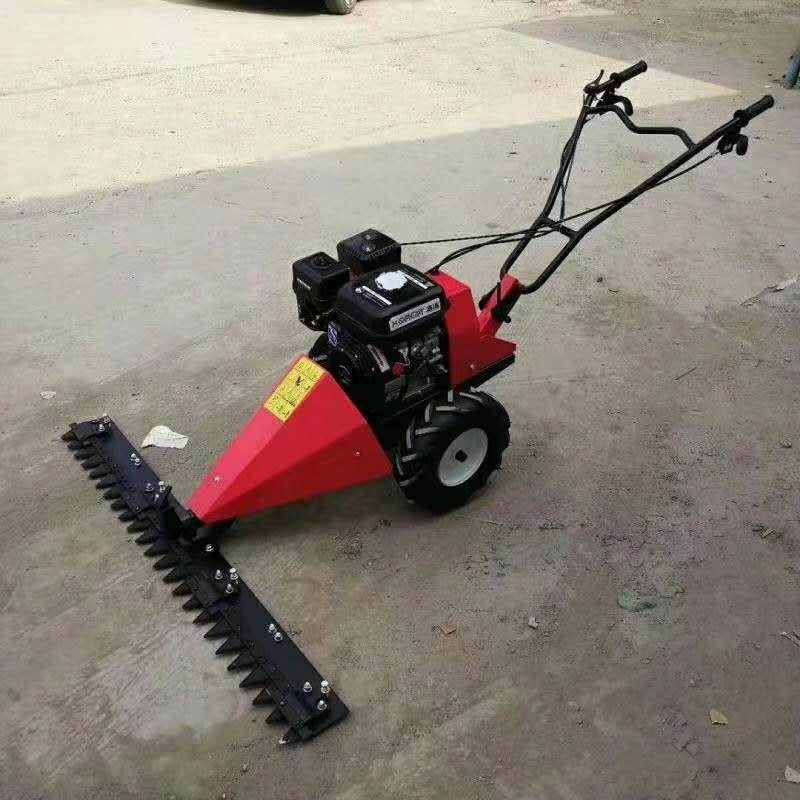 四冲程大马力自走式剪草除草机汽油柴油动力高手推割草机现货优惠,农机/农具/农膜,割灌机/割草机/油锯,淘宝优惠券,粉丝福利购,淘宝优惠卷