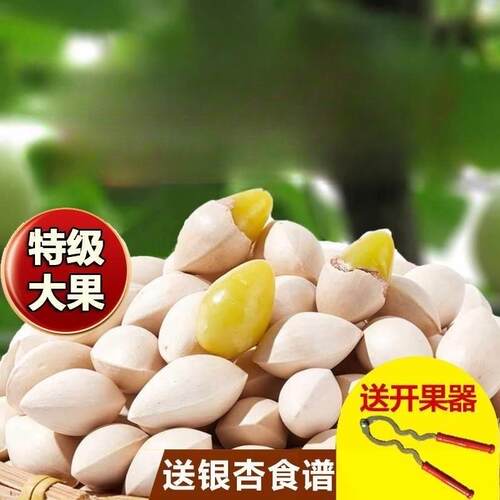2025年新鲜大颗带壳白果银杏果无漂白特级包邮干货生百果王