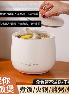 德国可携式迷你电子锅正品新款陶瓷釉小电锅朴永智能多功能电饭锅