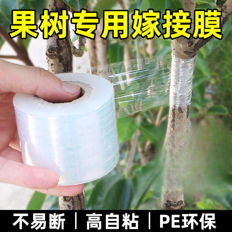 嫁接膜专用膜PE无需打结薄膜自粘式园林果树嫁接胶带包扎带缠绕膜